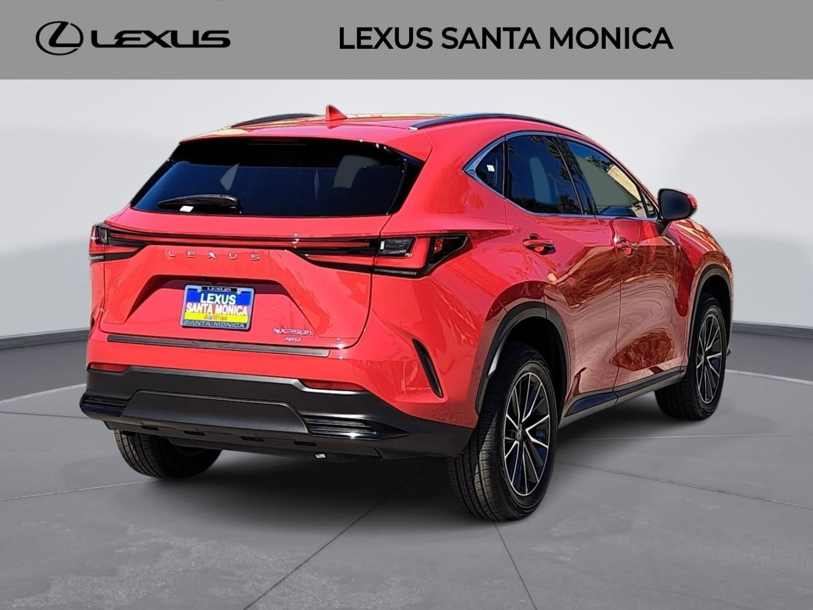 Used 2024 Lexus NX 350h AWD w/ Cold Area Package image 5