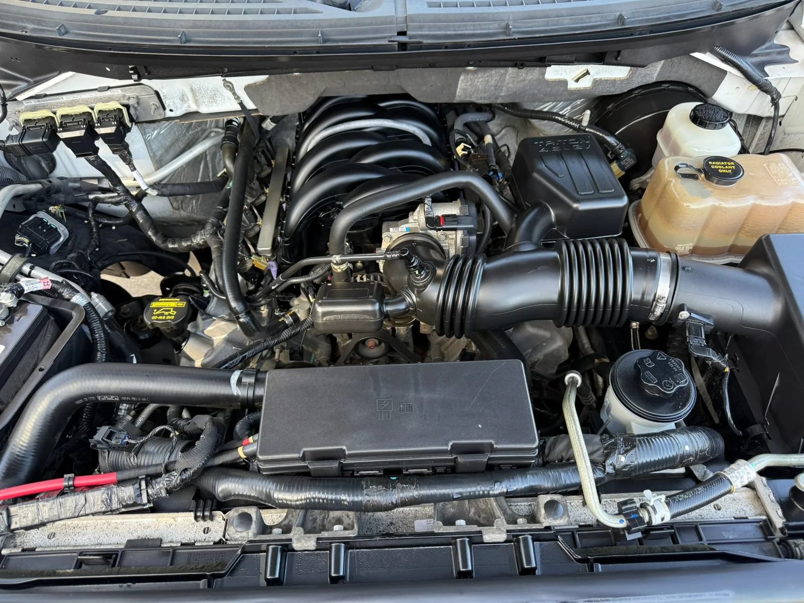 Used 2010 Ford F150 XLT RWD image 32