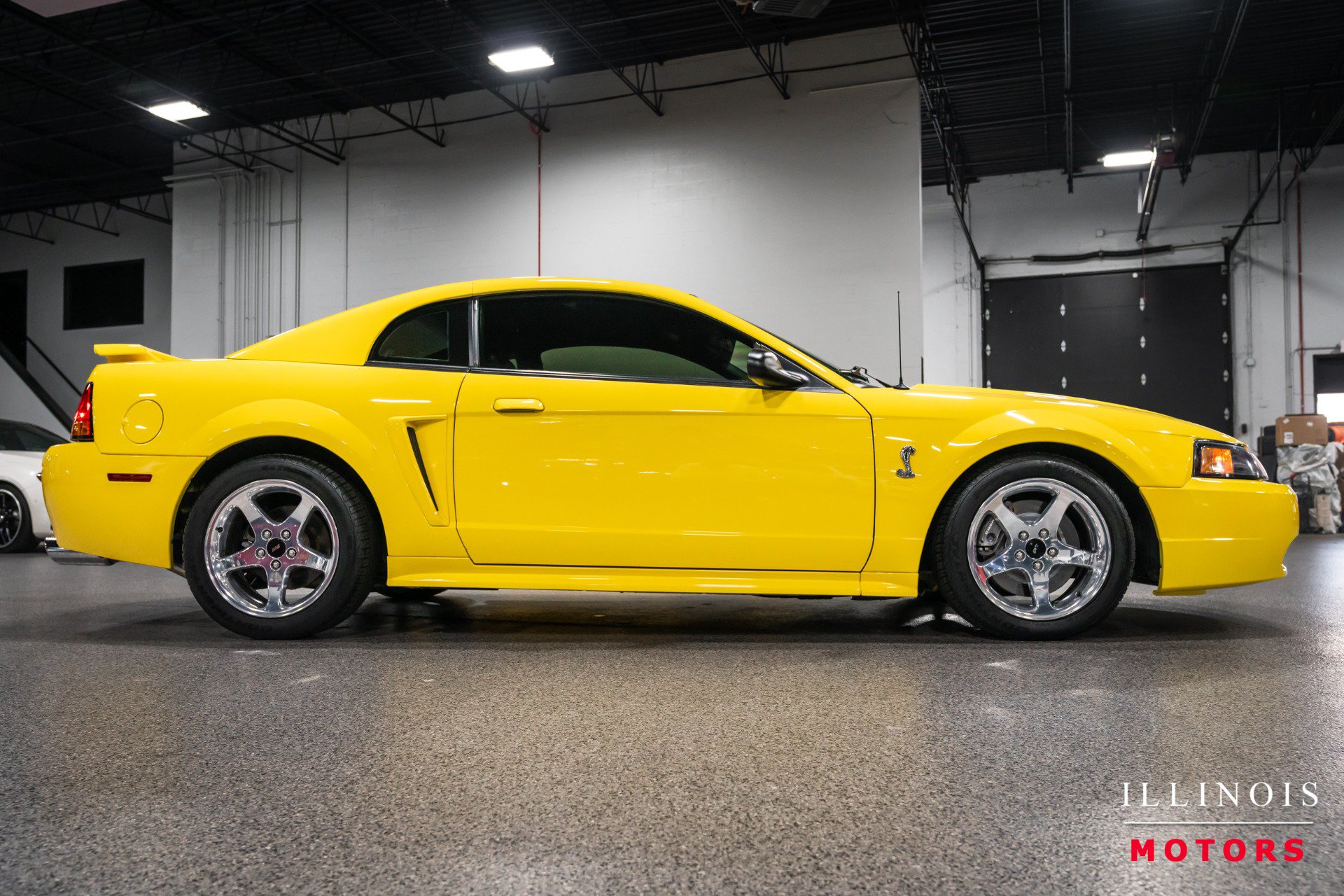 Used 2001 Ford Mustang Cobra RWD image 6