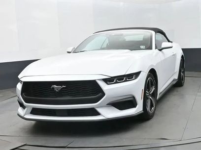 Used 2024 Ford Mustang Premium