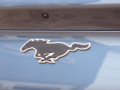 Used 2021 Ford Mustang Mach-E Premium image 18