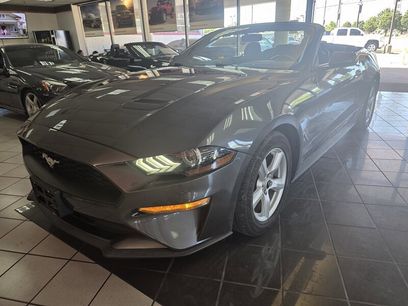 Used 2019 Ford Mustang Convertible