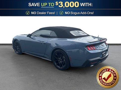 Used 2024 Ford Mustang Premium w/ Mustang Nite Pony Package RWD image 4