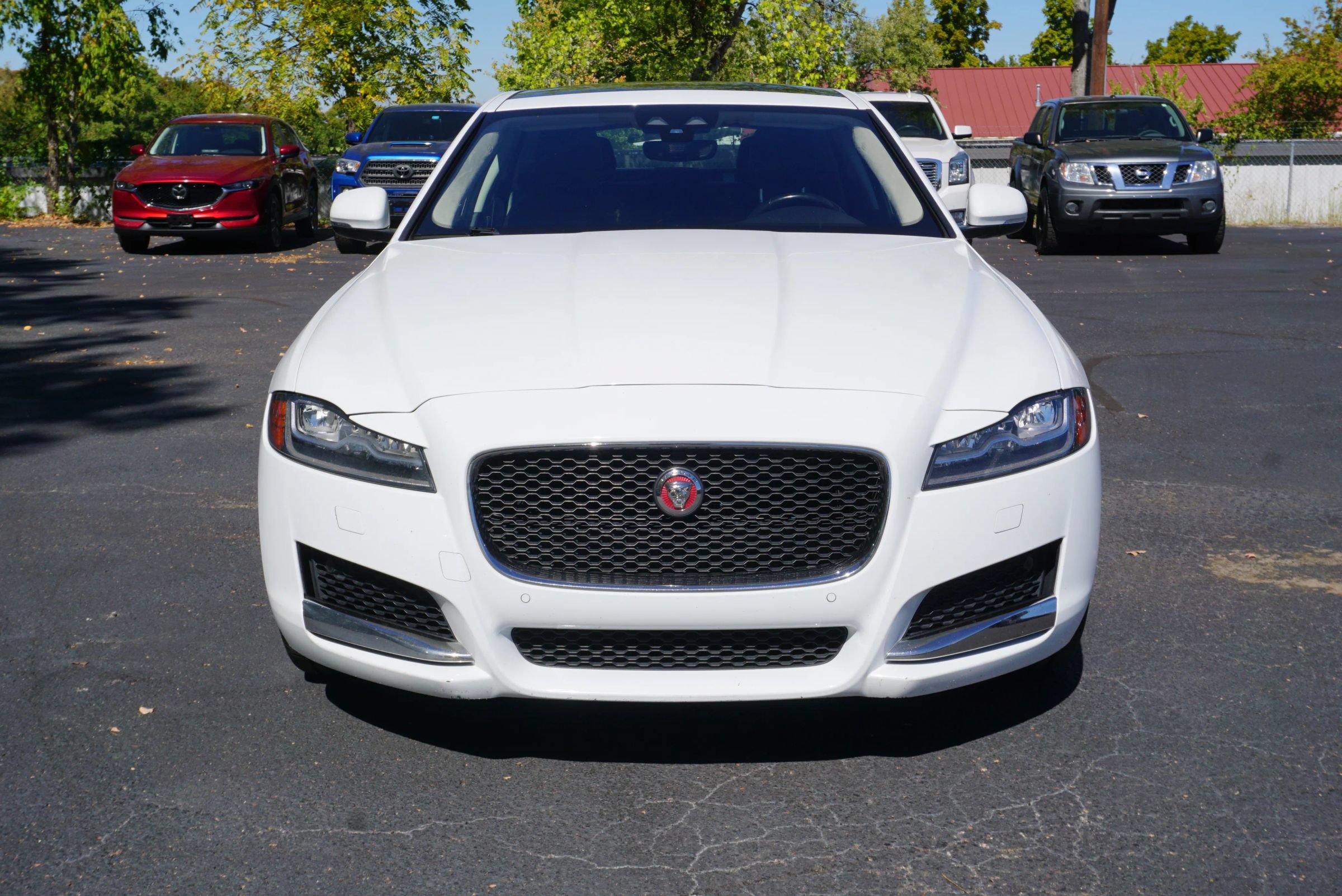 Used 2019 Jaguar XF Premium RWD image 2