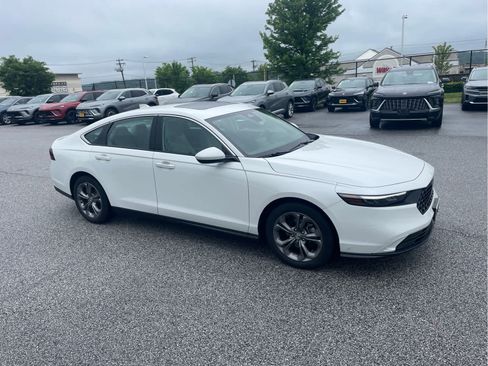 Certified 2024 Honda Accord EX image 6