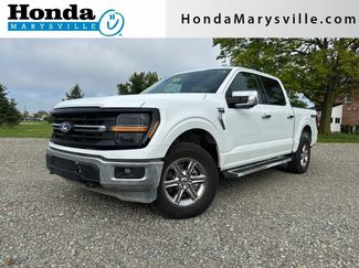 Used 2024 Ford F150 XLT w/ Equipment Group 302A MID AWD/4WD video 1