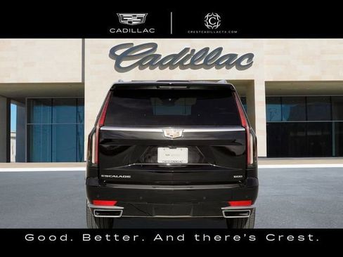 Used 2023 Cadillac Escalade Premium Luxury Platinum image 6