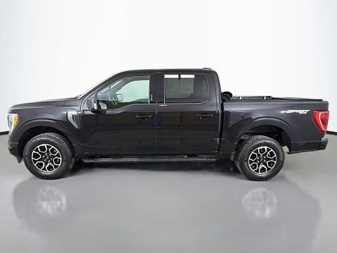 Used 2023 Ford F150 XLT w/ Equipment Group 302A High AWD/4WD image 15