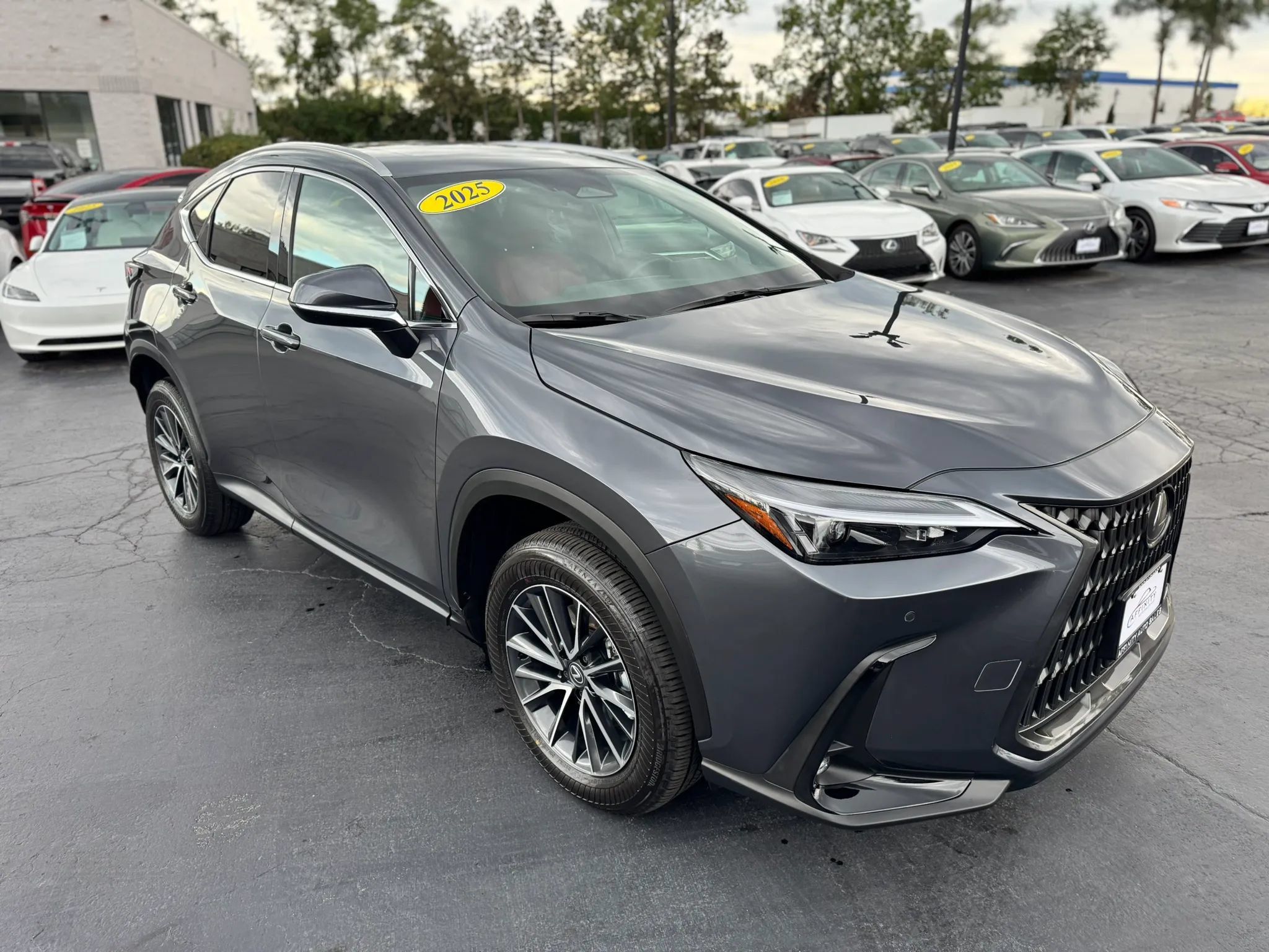 Used 2025 Lexus NX 350 AWD w/ Accessory Package (2T) image 6