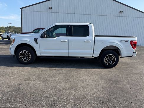 Used 2023 Ford F150 XLT w/ Equipment Group 302A High AWD/4WD image 8
