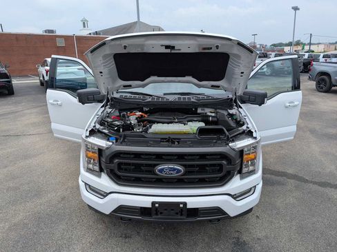 Used 2023 Ford F150 XLT w/ Equipment Group 302A High AWD/4WD image 14