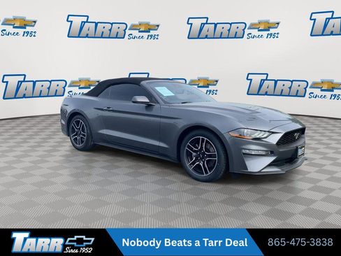 Used 2022 Ford Mustang Premium RWD image 2
