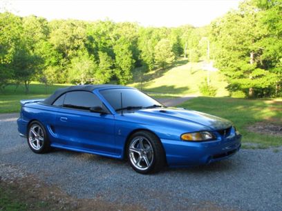 Used 1998 Ford Mustang Cobra