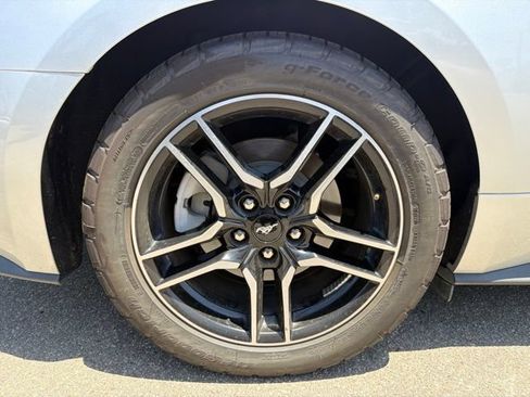 Used 2019 Ford Mustang Premium RWD image 23