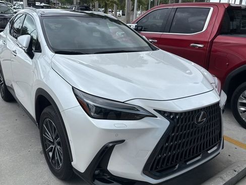 Used 2025 Lexus NX 350h AWD w/ Cold Area Package image 1