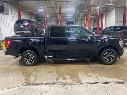 Used 2023 Ford F150 XLT w/ Equipment Group 302A High image 2