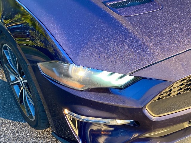 Used 2019 Ford Mustang Premium w/ Equipment Group 201A RWD image 4