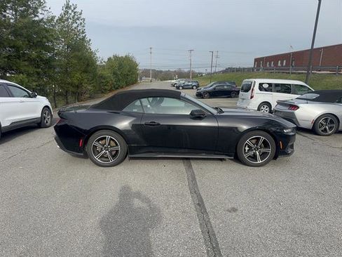 Used 2024 Ford Mustang Premium image 5