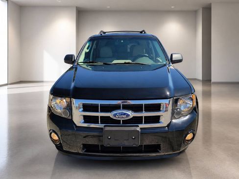 Used 2010 Ford Escape XLT FWD image 8