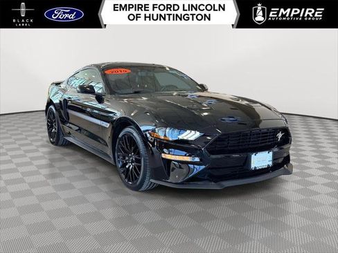 Used 2019 Ford Mustang GT Premium w/ Equipment Group 401A image 1