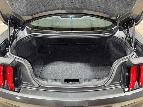 Used 2019 Ford Mustang Coupe w/ Equipment Group 101A image 11