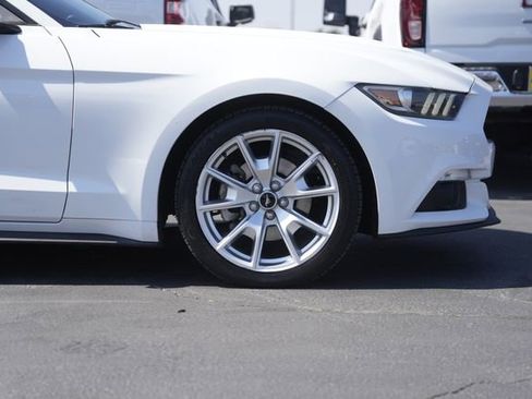 Used 2015 Ford Mustang Premium w/ Equipment Group 201A image 4