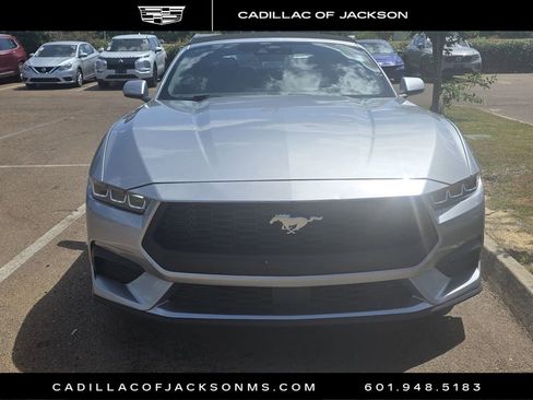 Used 2024 Ford Mustang Premium image 9