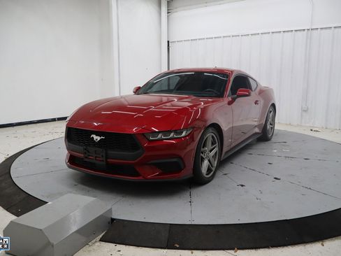 Used 2024 Ford Mustang Premium image 10