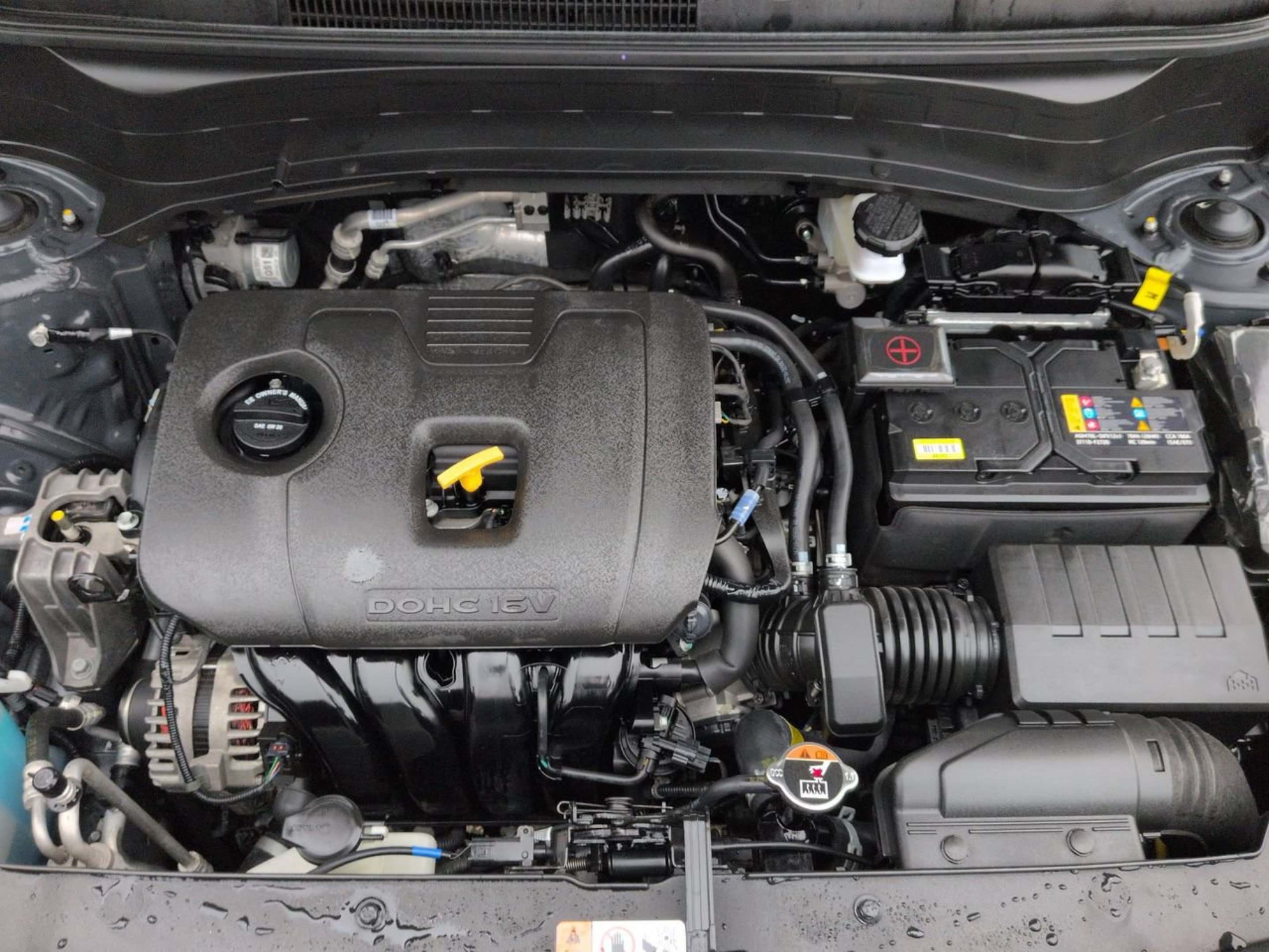 Certified 2025 Kia Seltos EX w/ EX Sunroof Package FWD image 15
