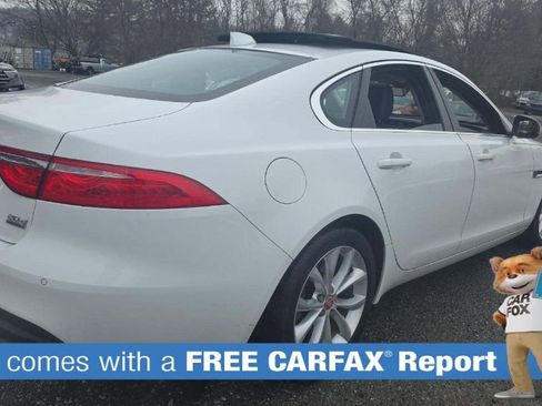 Used 2017 Jaguar XF Premium image 3
