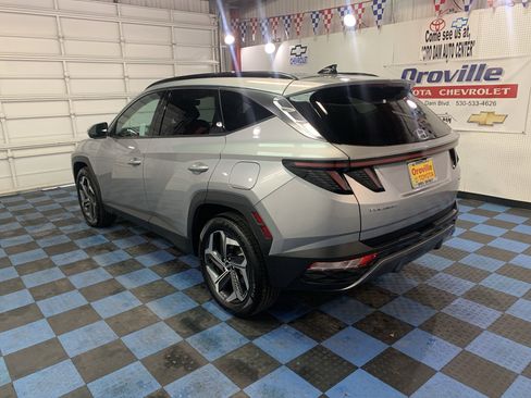 Used 2024 Hyundai Tucson Limited image 3