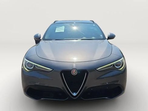 Used 2019 Alfa Romeo Stelvio Sport w/ Quick Order Package 22K Sport RWD image 4