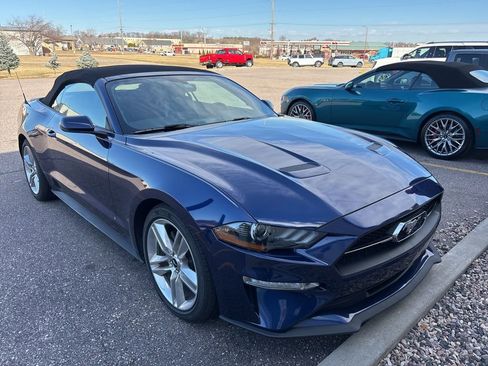 Used 2019 Ford Mustang Premium w/ Equipment Group 201A image 4