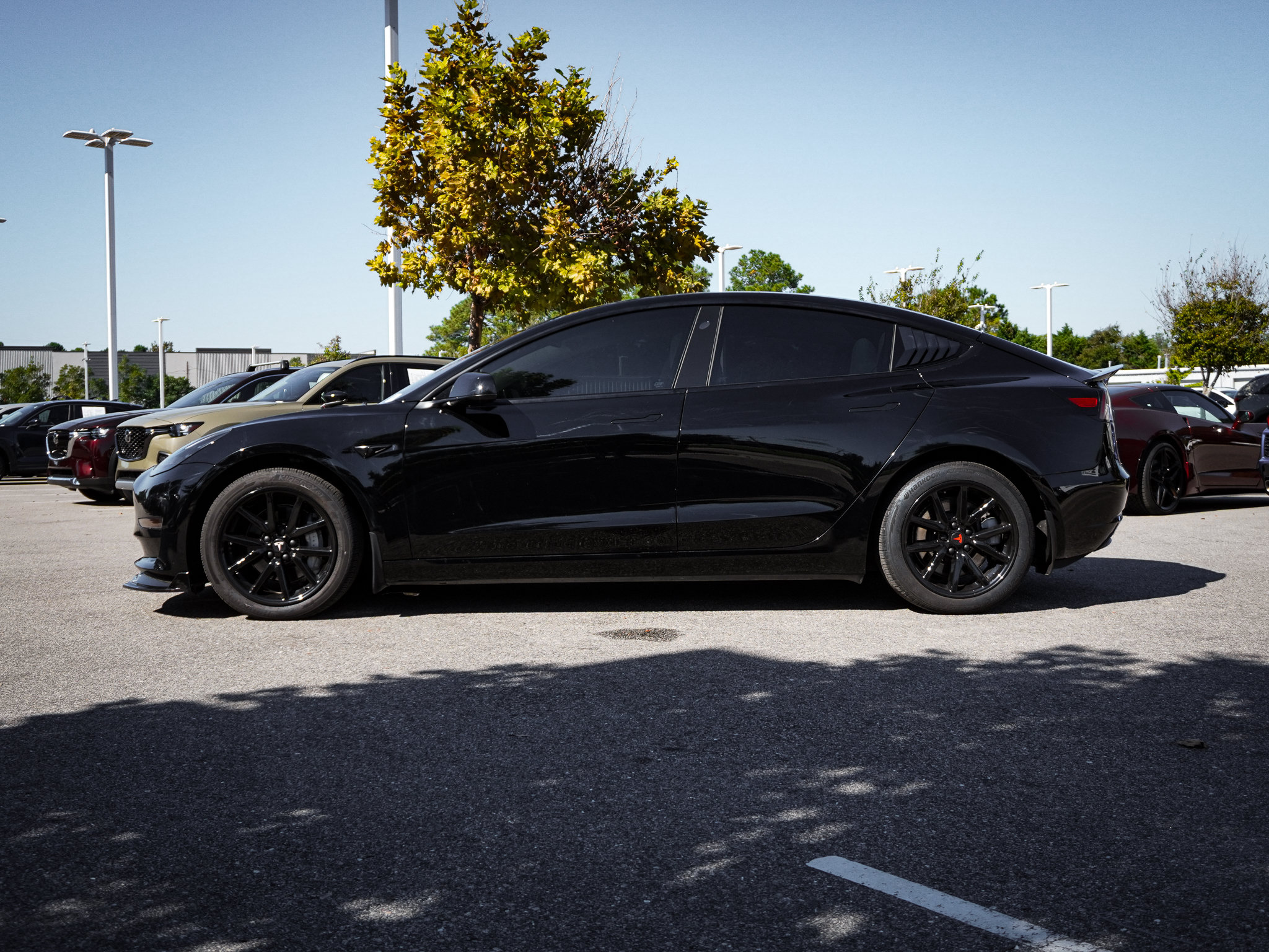 Used 2023 Tesla Model 3 Standard Range RWD image 6