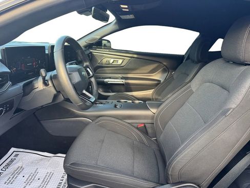 Certified 2025 Ford Mustang EcoBoost w/ Mustang Nite Pony Package image 13