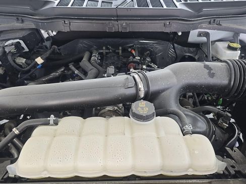 Used 2025 Ford F150 XLT w/ Equipment Group 301A Standard AWD/4WD image 15
