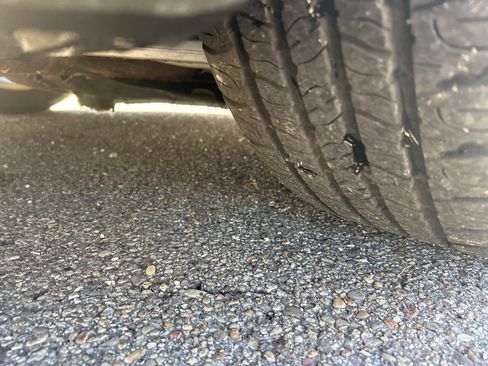 Used 2013 Ford Focus SE w/ SE Winter Pkg image 13