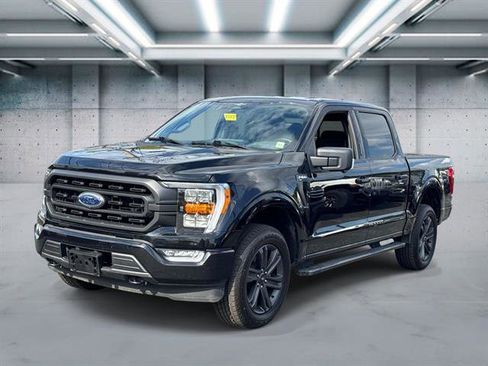 Used 2023 Ford F150 XLT w/ Equipment Group 302A High AWD/4WD image 1