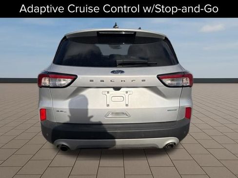 Used 2020 Ford Escape SEL image 6