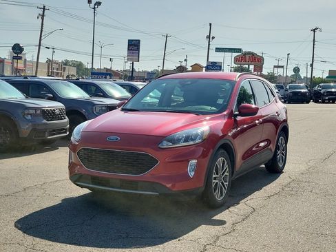 Used 2020 Ford Escape SEL FWD image 2
