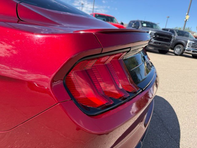 Certified 2019 Ford Mustang Coupe w/ Equipment Group 101A RWD image 8