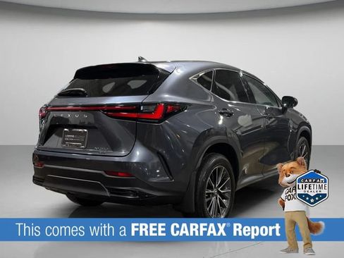 Certified 2025 Lexus NX 350 AWD w/ Accessory Package (2T) image 3