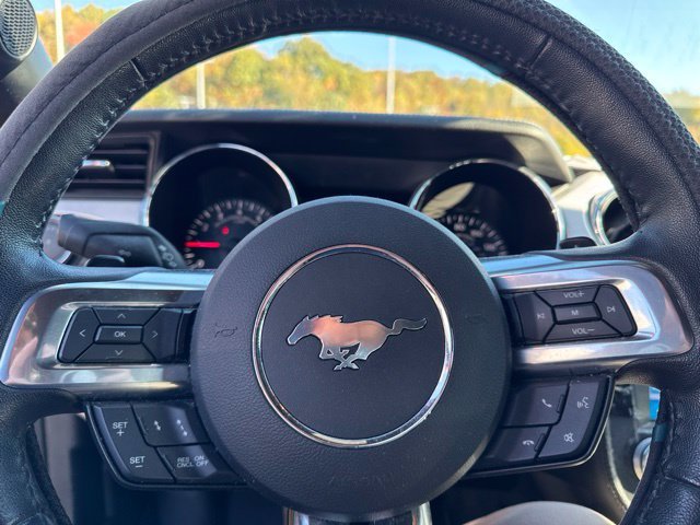 Used 2016 Ford Mustang Premium w/ Equipment Group 201A RWD image 13