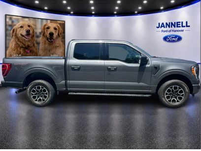 Used 2023 Ford F150 XLT w/ Equipment Group 302A High