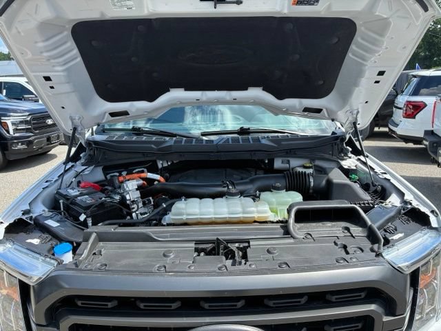 Certified 2023 Ford F150 XLT w/ Equipment Group 302A High AWD/4WD image 23