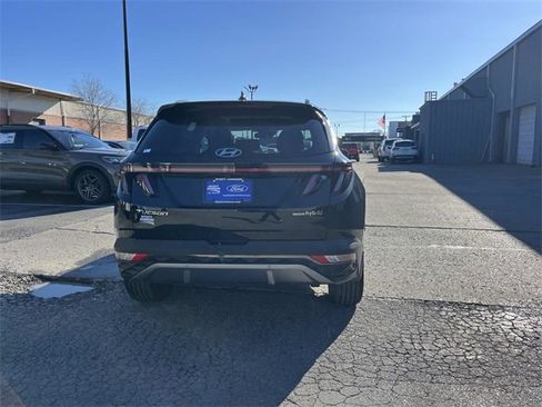 Used 2023 Hyundai Tucson Limited image 4