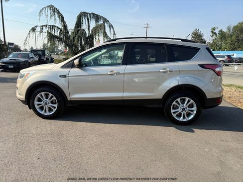 Used 2018 Ford Escape SE w/ Ford Safe & Smart Package AWD/4WD image 4