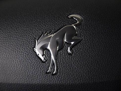 Used 2022 Ford Bronco Sport Big Bend w/ Convenience Package image 38