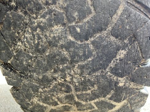 Used 2018 RAM 2500 Tradesman w/ Chrome Appearance Group image 38