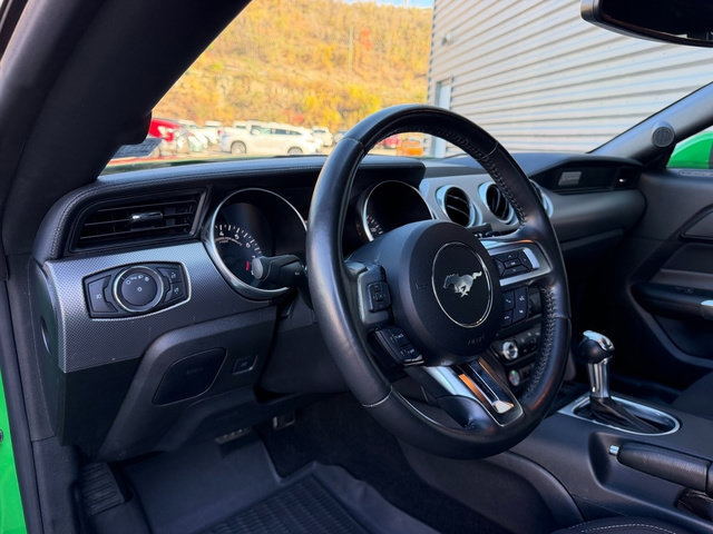 Used 2019 Ford Mustang GT RWD image 15